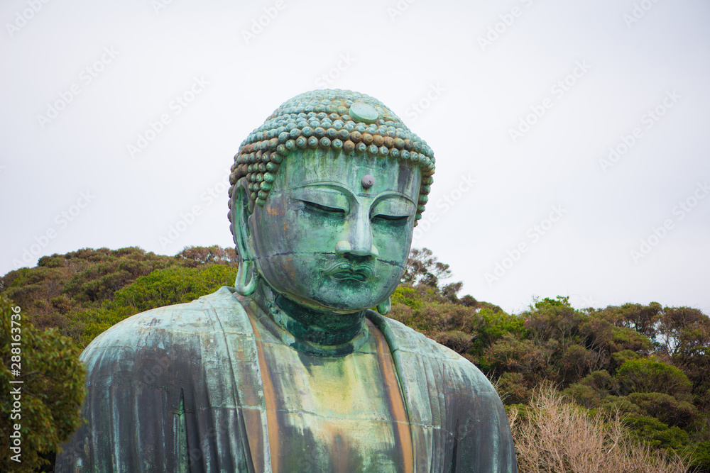 Giant buddha or Kamakura Daibutsu is the famous landmark located at the Kotoku-in temple in Kamakura,Japan