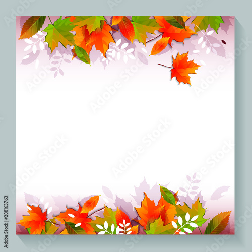 Hello autumn background layout decorate with leaves for shopping sale or promo poster and frame leaflet or web banner.Vector illustration template.