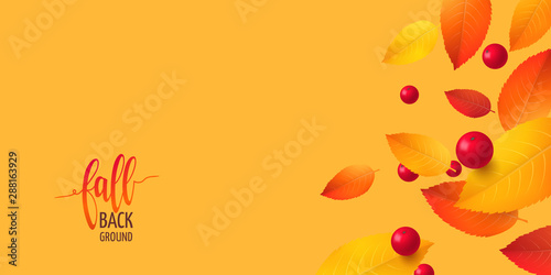 Vector horizontal template with falling 3D colored leaves and red realistic cranberries for design of autumn or thanksgiving flyers. Seasonal banner with fall foliage isolated on orange background.