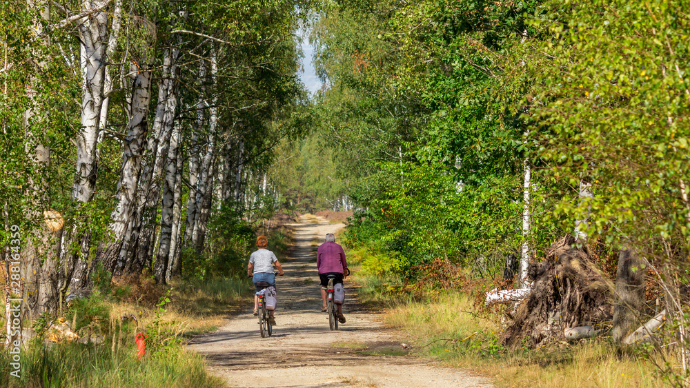 Obraz premium Radweg