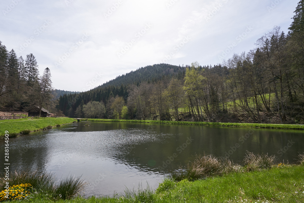 Beautiful landscape with a reservoir in which a lot of trout swims in the highlands of the forest Schwarzwald, Germany Beautiful landscape with a reservoir in which a lot of trout swims in the highlands of the forest Schwarzwald, Germany