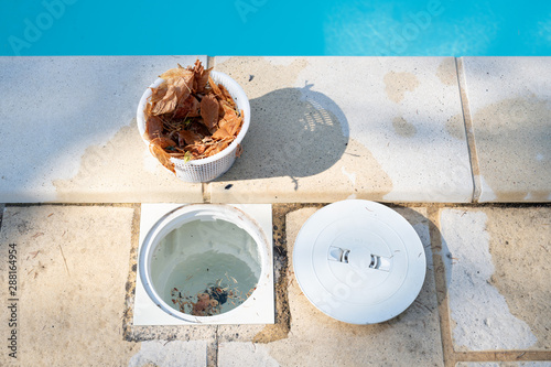 Removing a pool skimmer basket to empty the leaves out photo