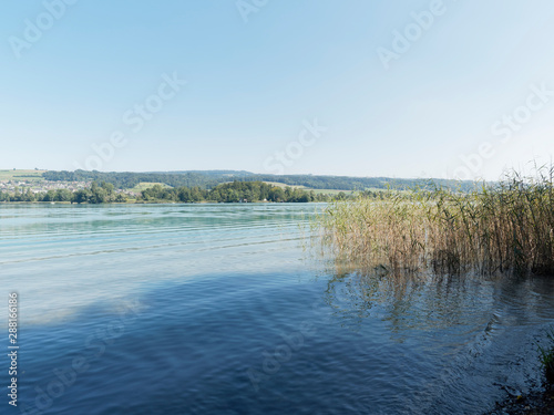 Fototapeta Naklejka Na Ścianę i Meble -  Schweizer Seenlandschaft - Rund um den Hallwilersee - Kanton Aargau - Beinwil am see. Seeuferweg und seeblick zwischen Beinwil am see und Mosen