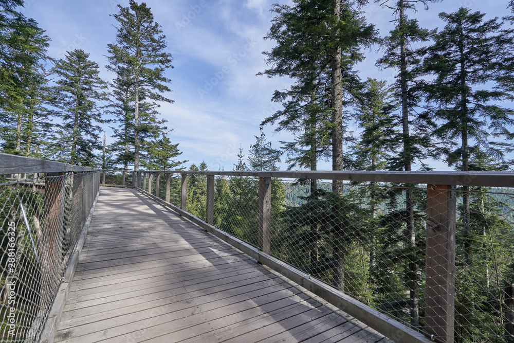 Narrow pedestrian walkway made of wood and metal mesh in the form of a bridge in the forest at high altitude. Wooden bridge in european forest