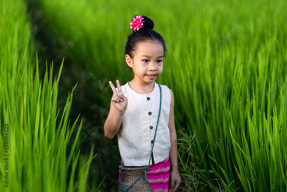 Asian girl in rice field with countryside background Asian girl in rice field with countryside background