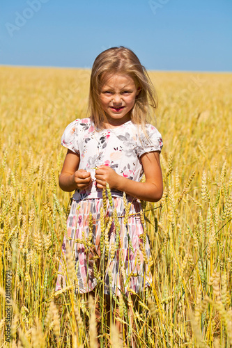 Little girl in a wheat golden field