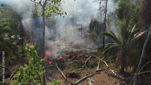 Burning trees on the floor of the Amazon Rainforest. Still drone shot photo