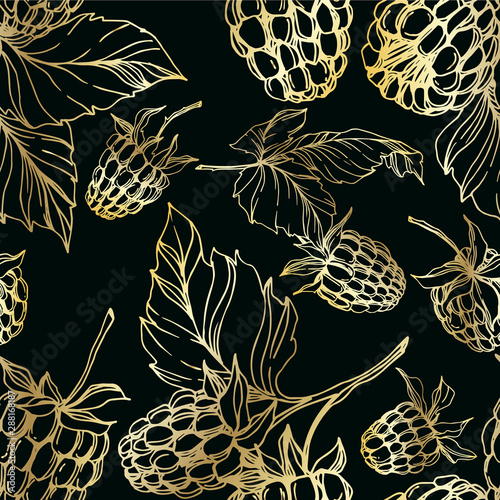 Vector Raspberry healthy food isolated. Black and white engraved ink art. Seamless background pattern.