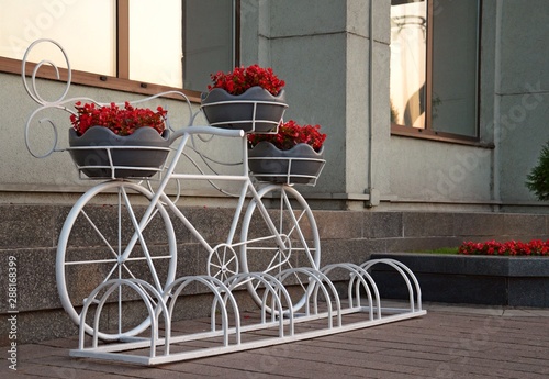 город Минск цветы клумба растения красный  флора лето  сад весна парк розовый природа велосипед красиво 