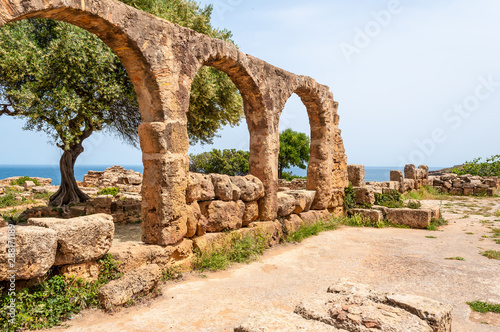 Ancient Roman ruins in Tipasa  Tipaza 