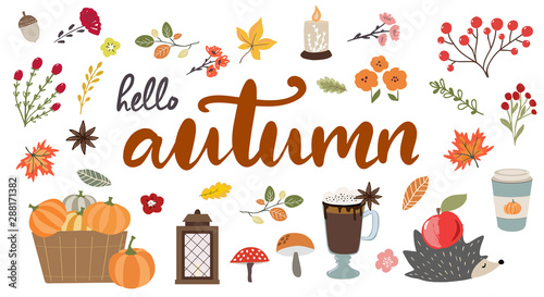 Hello Autumn hand drawn typography banner with hand drawn fall elements  hedgehog  leaves and branches.Cute autumn vector illustrations in modern sketch style