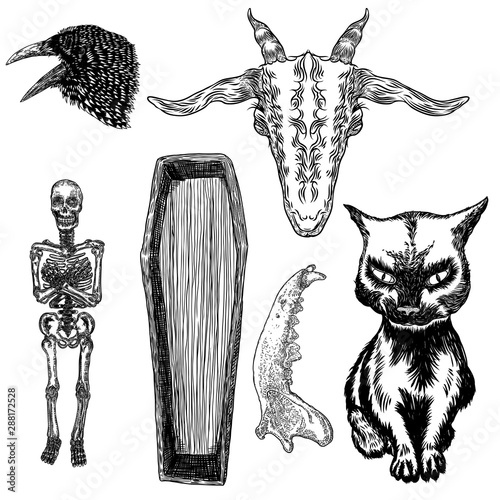 Large alchemy symbol elements set. Birds raven crow, evil goat, coffin with human skeleton, wolf or dog jaw bone, black cat. Spiritual occultism chemistry, magic tattoo sketch. Hand drawing Vector.