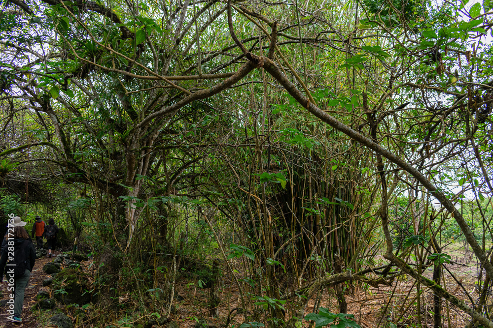Floreana Island Galapagos Floreana Island Galapagos