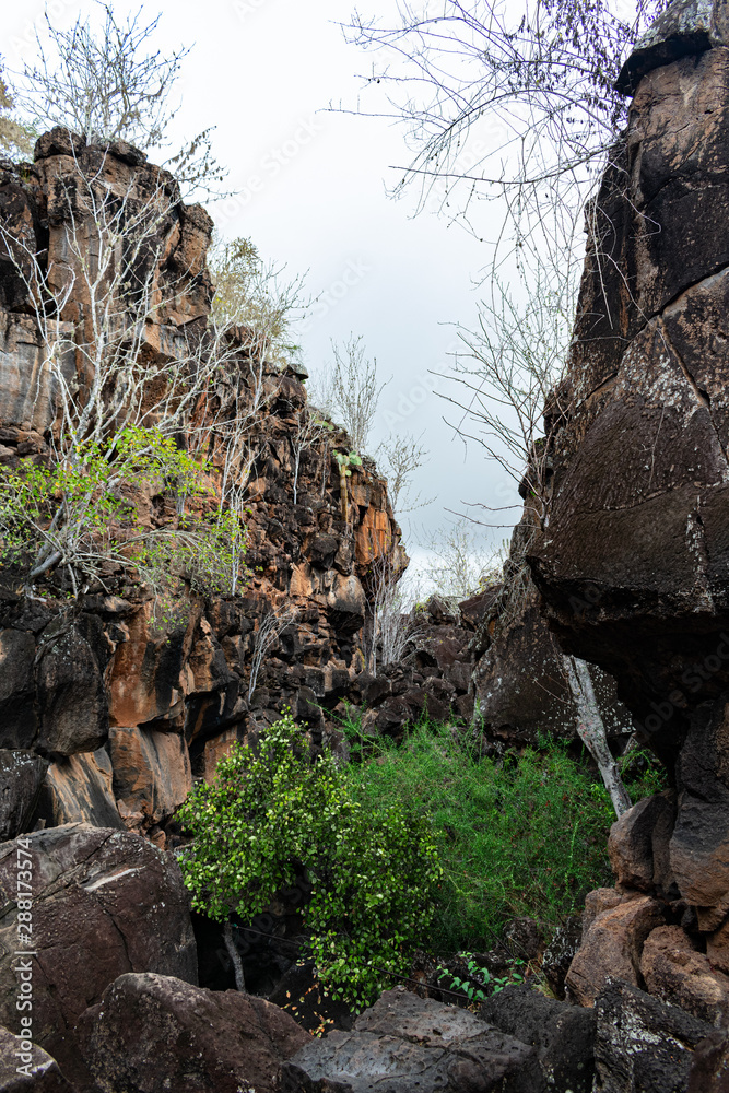 Obraz premium Las Grietas Galapagos