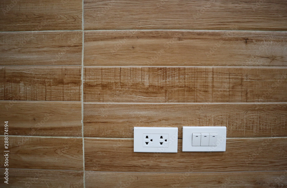 plug and switch on the wood wall texture