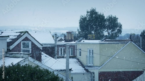 Windy Snowfall On Houses With Birds Flying Around photo