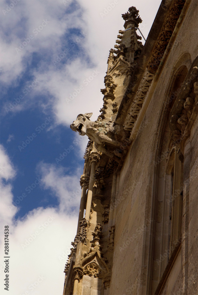 Fototapeta premium St. Stephen's Cathedral in Vienna. Austria.