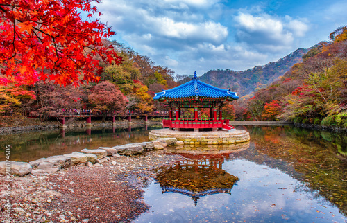 pavilion in the park at naejangsan mountain south korea photo