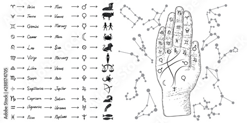 Fortune teller hand with Palmistry diagram and zodiac constellations. Magic alchemy spirituality symbol. Hand drawn sketchy palm reading with mystic and occult hand drawn esoteric symbols. Vector.