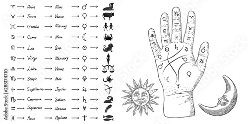 Fortune teller hand with Palmistry diagram and zodiac constellations. Magic alchemy spirituality symbol. Hand drawn sketchy palm reading with mystic and occult hand drawn esoteric symbols. Vector. photo