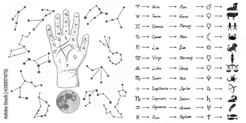 Fortune teller hand with Palmistry diagram and zodiac constellations. Magic alchemy spirituality symbol. Hand drawn sketchy palm reading with mystic and occult hand drawn esoteric symbols. Vector.