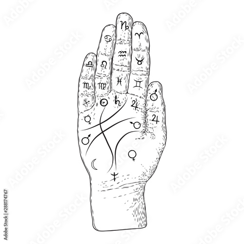 Palmistry. Esoteric occult symbols on hand, palm of prophecy or reading design. Hand drawing. Vector.
