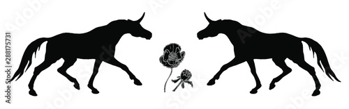 vector isolated image of the figure  the black silhouettes of two running unicorns on a white background and poppy flowers