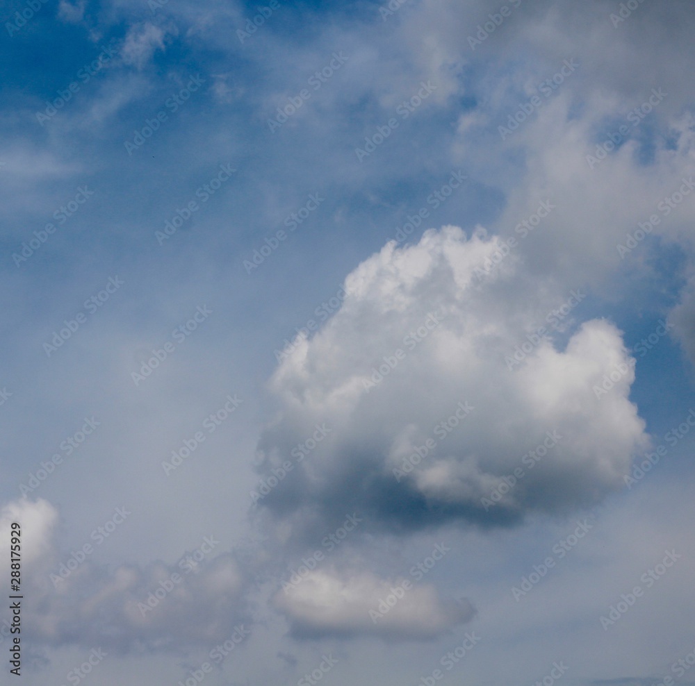 The fluffy white cloud in the bright blue sky. The fluffy white cloud in the bright blue sky.