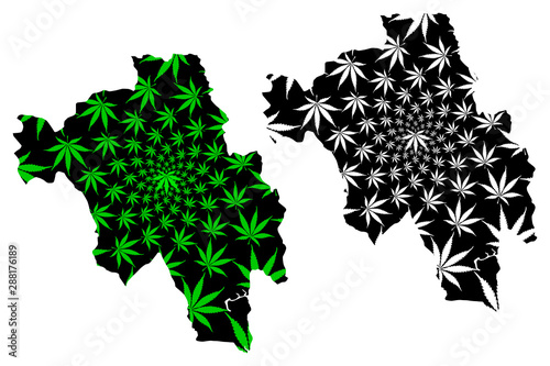 Bago Region (Administrative divisions, Republic of the Union of Myanmar, Burma) map is designed cannabis leaf green and black, Pegu Division map made of marijuana (marihuana,THC) foliage....
