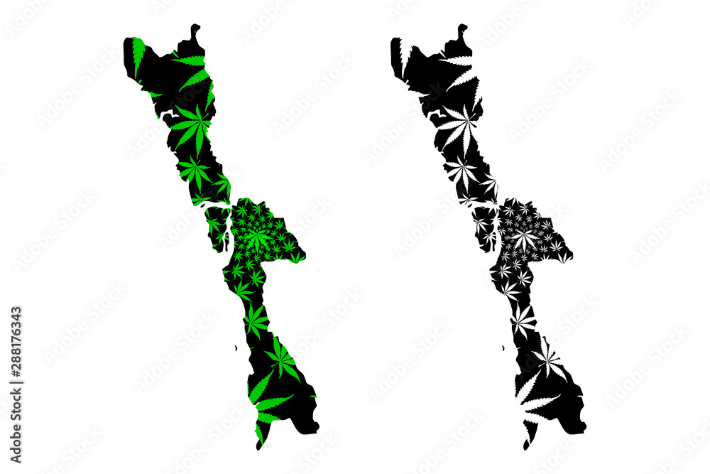 Mon State (Administrative divisions of Myanmar, Republic of the Union of Myanmar, Burma) map is designed cannabis leaf green and black, Mon State map made of marijuana (marihuana,THC) foliage....