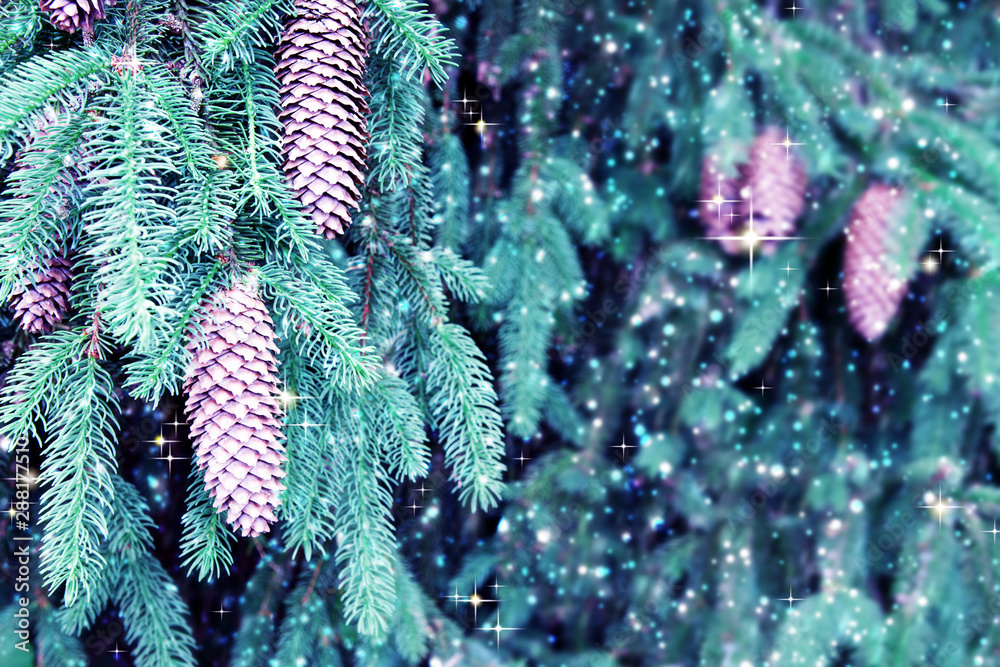 Background of Christmas tree branches with big fir cones and snowfall .