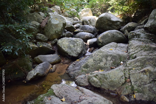 stones in the nature
