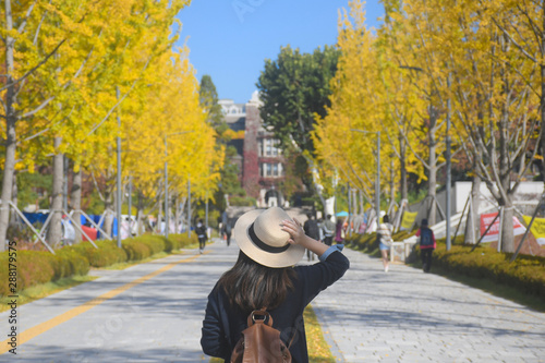 A woman is travel in the University in Korea during Autumn season.