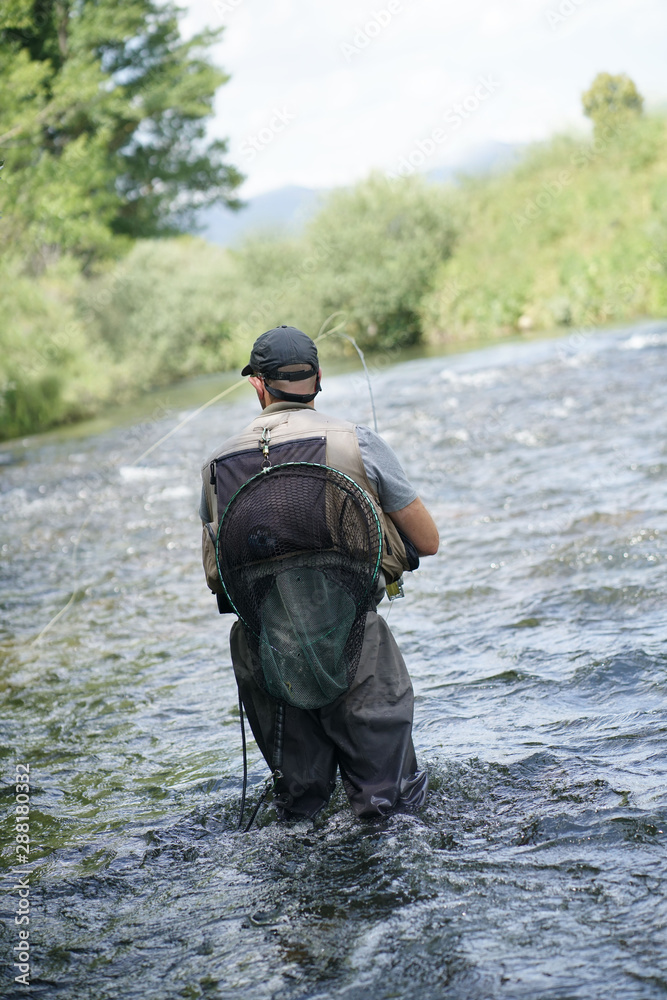 fly trout fisherman in the river fly trout fisherman in the river