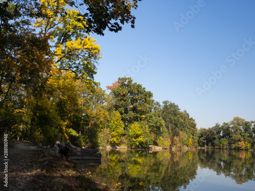 Colorufl trees in autumn by lake in evening sun