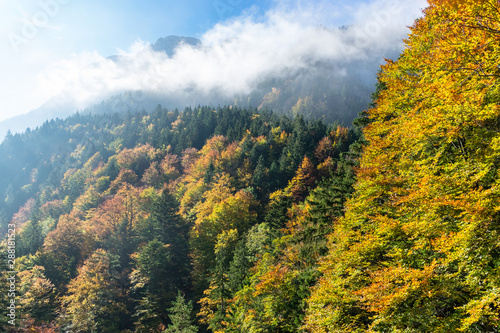 Colorful autumn forest in mountains in the morning sun in clouds © Евгений Дубасов
