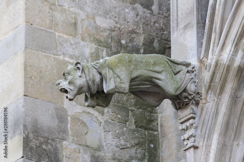 Gargoyle statue, weathered with green moss, Carcassonne, Basilica of Saints Nazarius and Celsus Languedoc-Roussillion, France, Europe. French travel photo