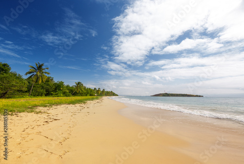Fototapeta Naklejka Na Ścianę i Meble -  Wild Caribbean beach, Martinique island, French Indies - Grande Anse des Salines