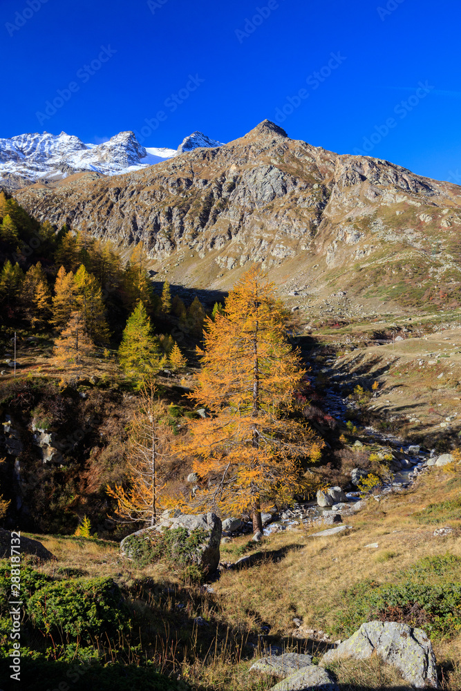 paesaggio autunnale in valle dell'Orco, nel Parco Nazionale del Gran Paradiso