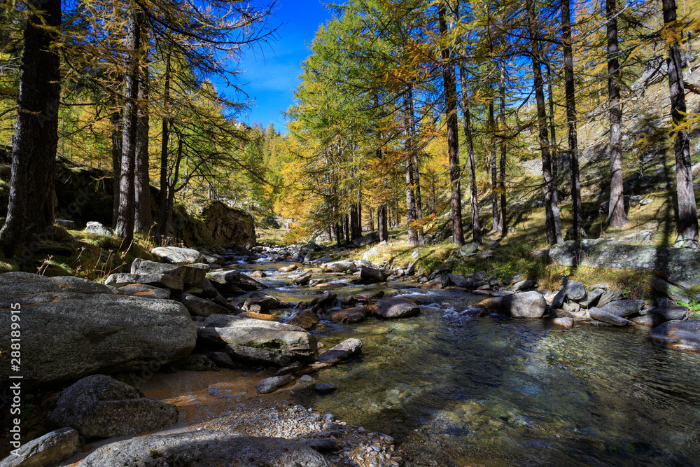 torrente in valle dell'Orco, nel parco nazionale del Gran Paradiso torrente in valle dell'Orco, nel parco nazionale del Gran Paradiso