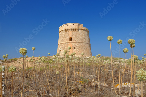 Landscape with Defense Tower Alcaufar - Torre de Defensa de Alcaufar on Menorca. photo