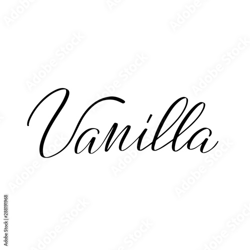 Inspirational handwritten brush lettering . Vector calligraphy illustration