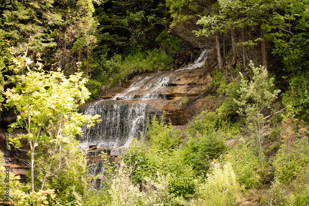 Fototapeta premium Waterfall