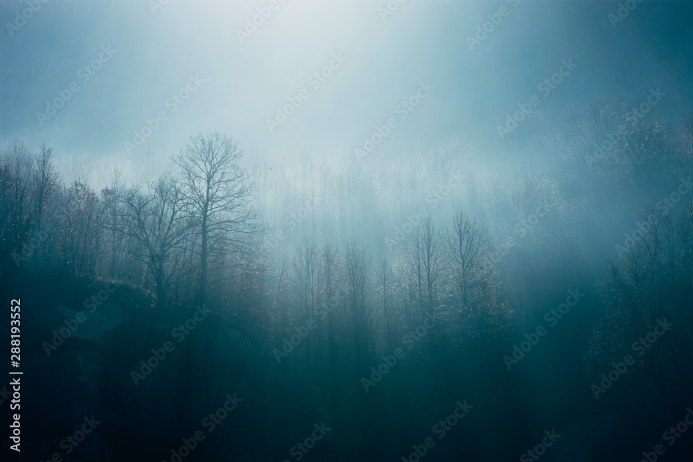 Ethereal morning landscape