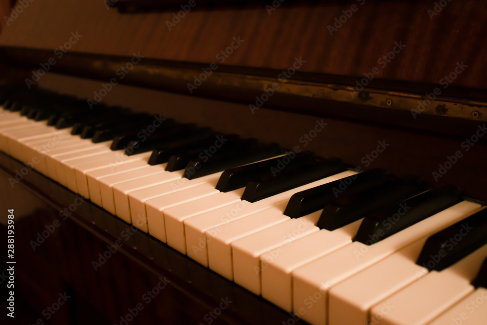 Piano musical instrument with white and black keys