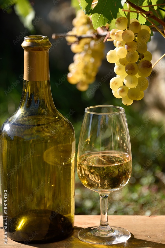 Vin et vin jaune