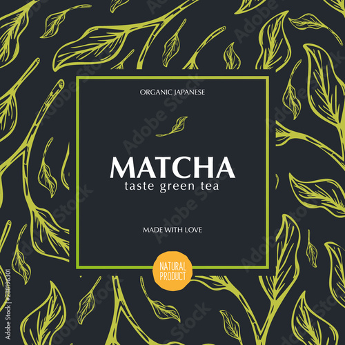 Matcha green tea. Organic Japanese Product. Banner with hand draw leaves on the background.