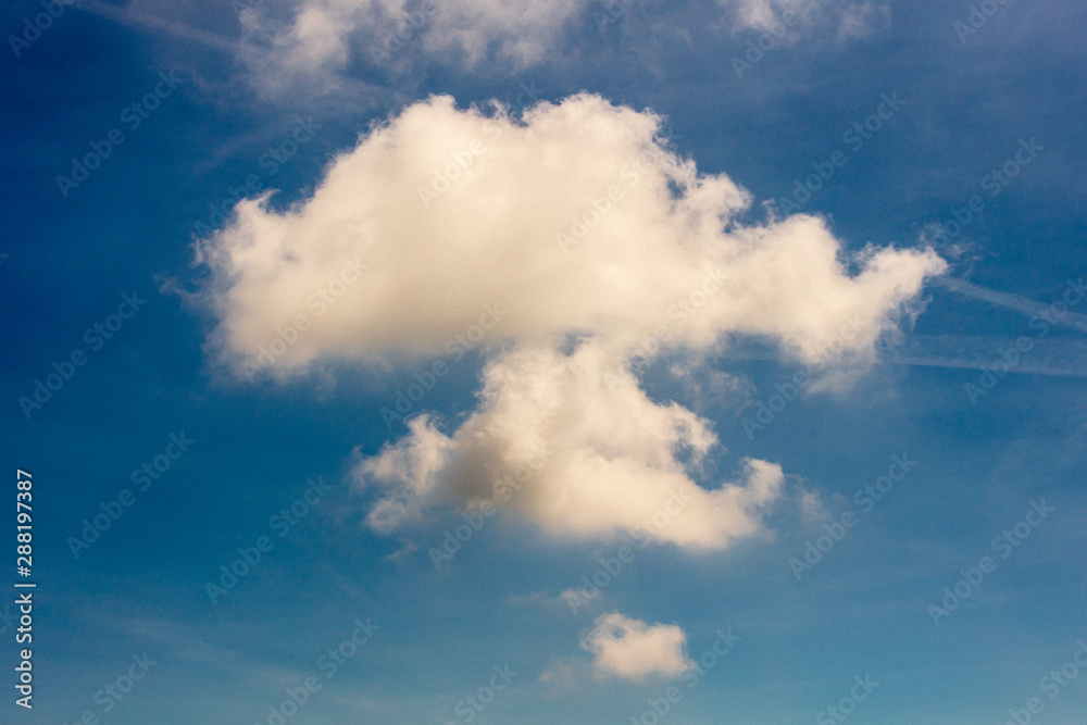 A puffy white cloud in a blue sky