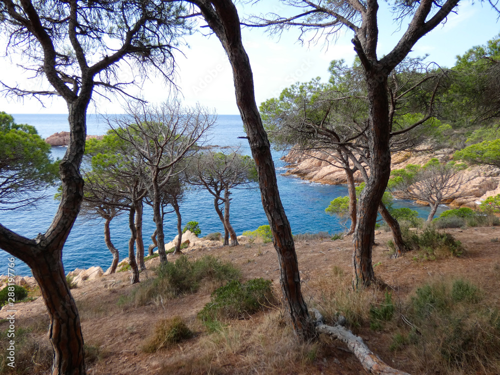 Paisaje de la Costa Brava catalana, España, con el mar azul, islas, aguas cristalinas, árboles y acantilados