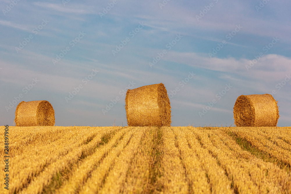 Hay bales in a Sussex field in late summer